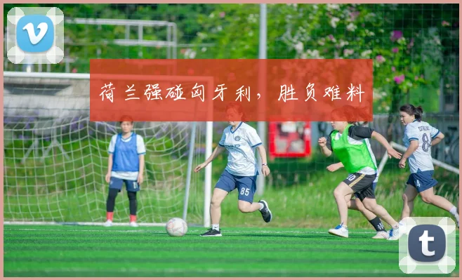 荷兰强碰匈牙利，胜负难料
