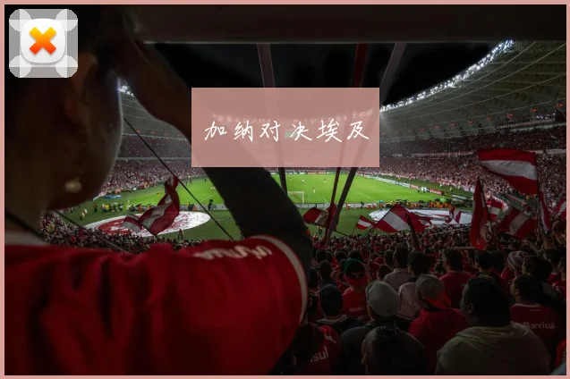 加纳对决埃及
