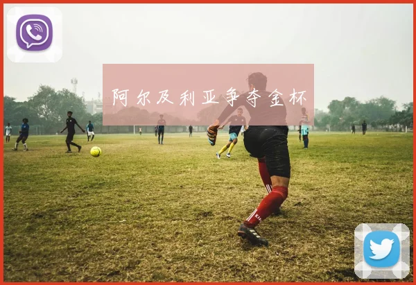 阿尔及利亚争夺金杯