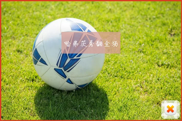 哈弗茨秀翻全场