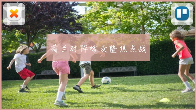 荷兰对阵喀麦隆焦点战
