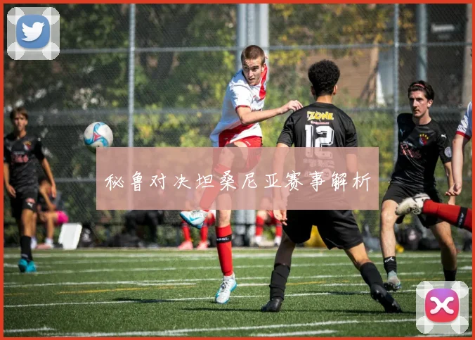秘鲁对决坦桑尼亚赛事解析
