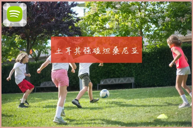 土耳其强碰坦桑尼亚