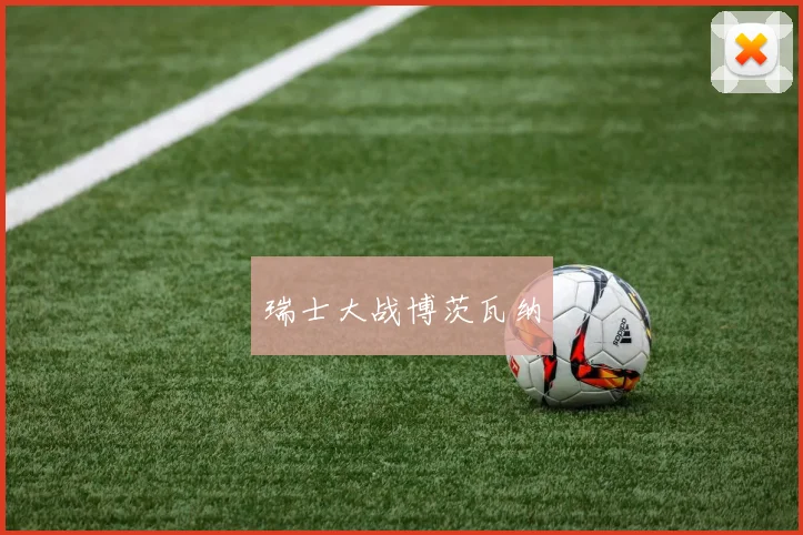 瑞士大战博茨瓦纳