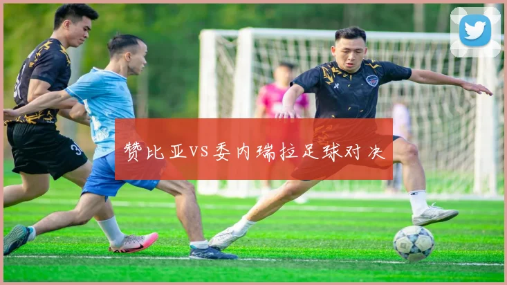 赞比亚vs委内瑞拉足球对决