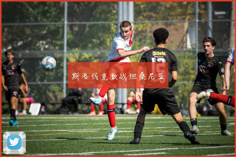 斯洛伐克激战坦桑尼亚