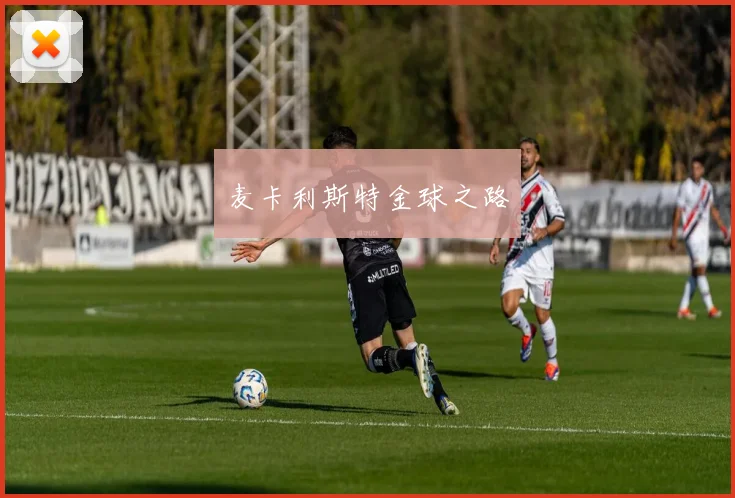 麦卡利斯特金球之路