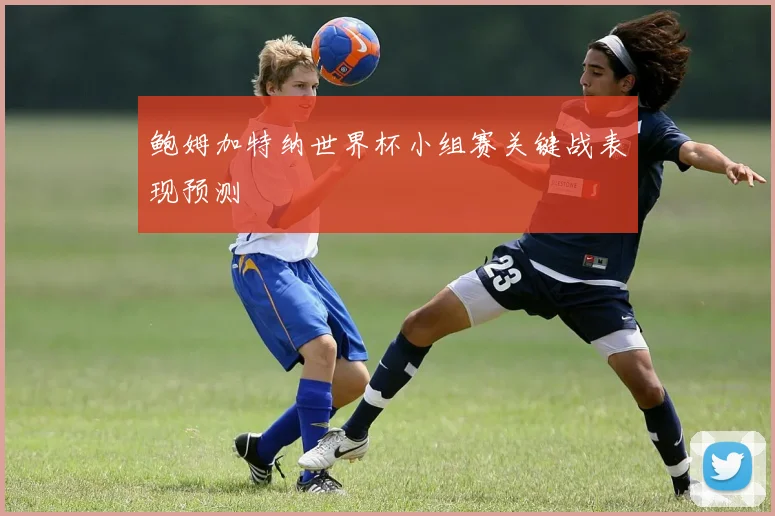鲍姆加特纳世界杯小组赛关键战表现预测