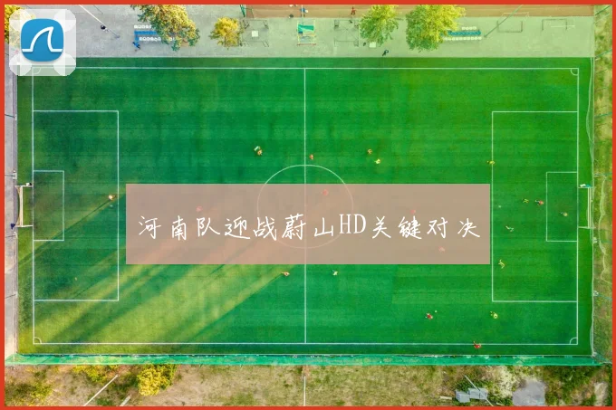 河南队迎战蔚山HD关键对决