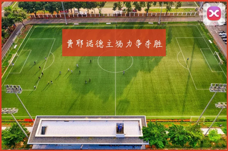 费耶诺德主场力争夺胜