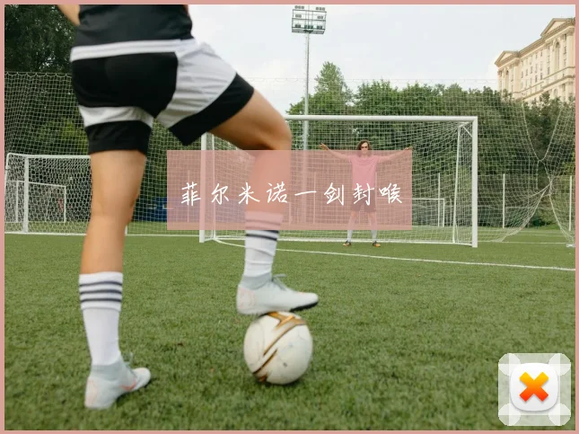 菲尔米诺一剑封喉