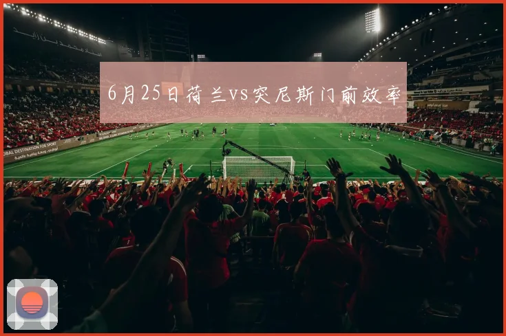 6月25日荷兰vs突尼斯门前效率