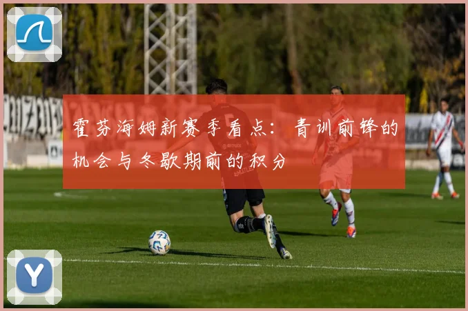 霍芬海姆新赛季看点：青训前锋的机会与冬歇期前的积分